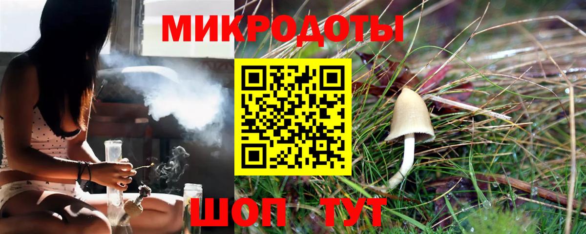 Галлюциногенные грибы Psilocybe  Псилоцибиновые грибы MAGIC MUSHROOMS  Выкса  купить закладку  Вход с VPN 