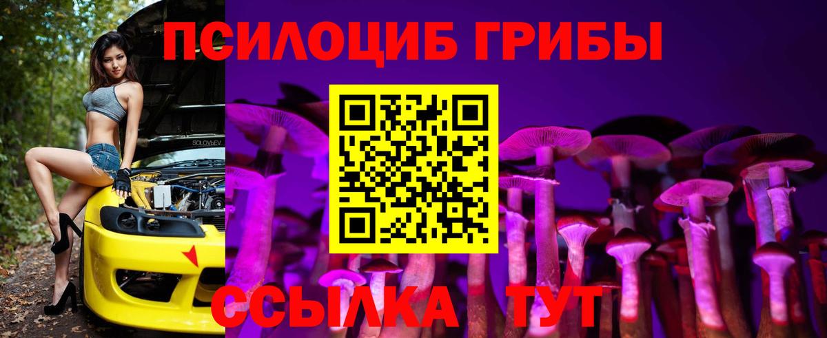 Псилоцибиновые грибы Psilocybe Выкса